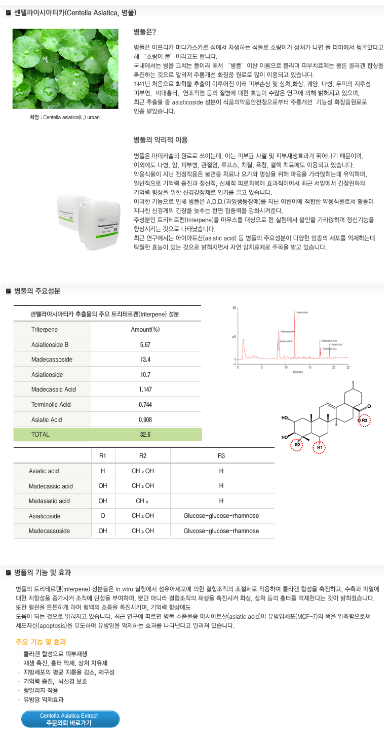 센텔라 아시아티카