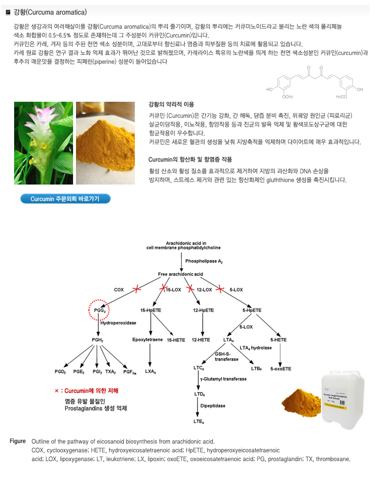 천연색소