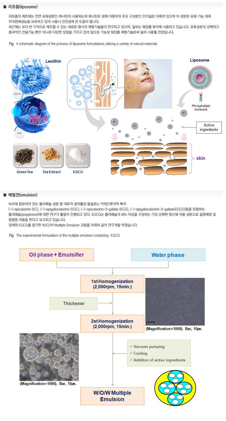 제형연구개발 연구개발과정